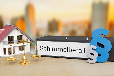 Streitfall: Wenn sich Mieter und Vermieter über die Ursache eines Schimmelbefalls streiten, ist die Beweislast entscheidend