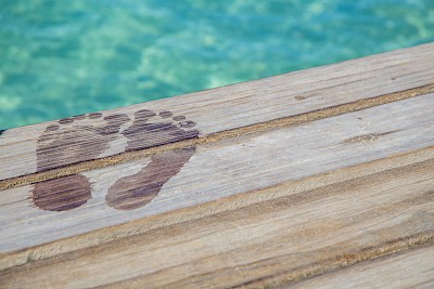 Gesunder Fußabdruck: Holz überzeugt als Baustoff mit einer ausgezeichneten Klimabilanz., © Adobe Stock Marald